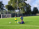 S.K.N.W.K. JO11-1JM - Colijnsplaatse Boys JO11-1 (competitie) seizoen 2022-2023 (najaar - 1e fase)) (41/69)